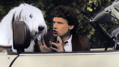 Zottis tolle Abenteuer Bild 2