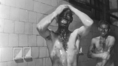 Het stof daalt Bild 1