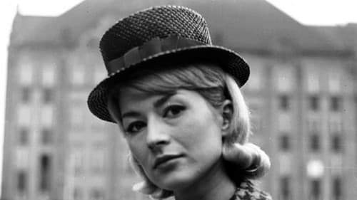 Kryptonim Nektar Bild 5