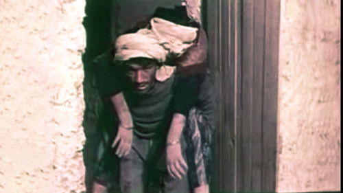 Le Vent du Sud Bild 2