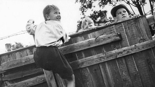 Pikku Pietarin piha Bild 1