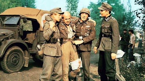 Steiner - Das Eiserne Kreuz Teil II Bild 3