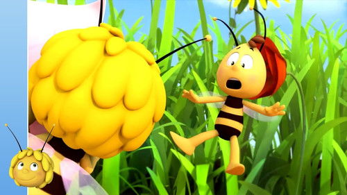 Maya - Het vreemde Ei Bild 1