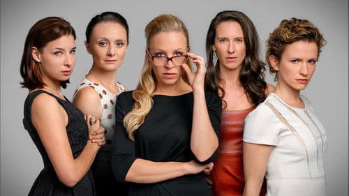 Vorstadtweiber Bild 1