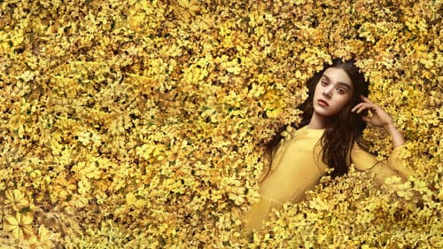 Voices & Visions: Emily Dickinson Bild 1