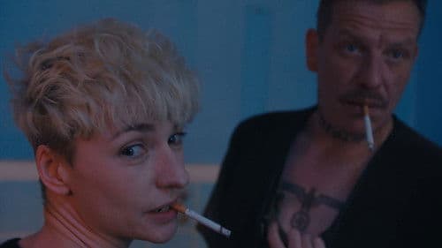 Rote Sterne überm Feld Bild 1