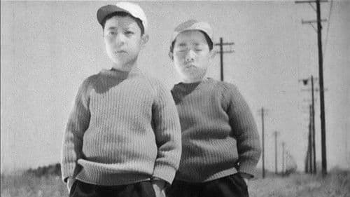 大人の見る繪本 生れてはみたけれど Bild 5