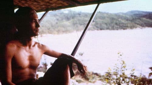 Shadows of the Peacock Bild 1