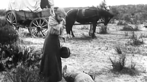 Over Silent Paths Bild 3