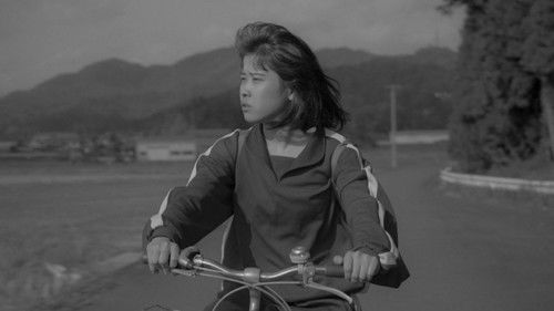 コントラ KONTORA Bild 3