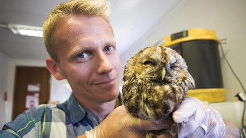 The Great Dr. Scott Bild 1