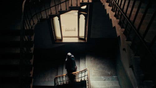 Aisha Can't Fly Away Bild 3