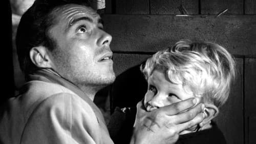 Ein Kind war Zeuge Bild 1