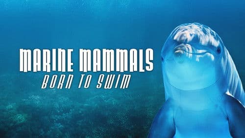 Marine Mammals - Born to Swim Bild 1