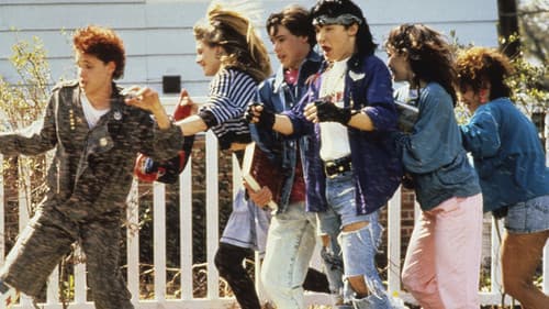 Dream a Little Dream Bild 2