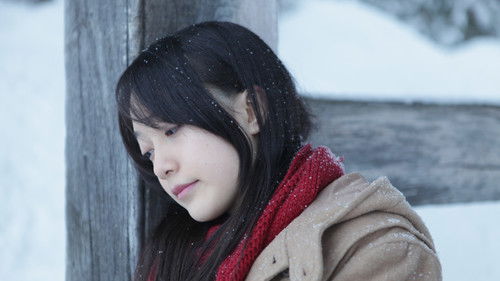 冬天，最后的碎片 Bild 1