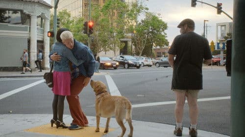 Liebe auf vier Pfoten Bild 7