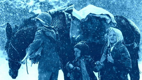 Sieben allein Bild 3