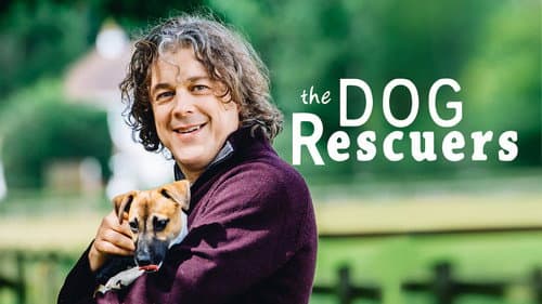 The Dog Rescuers with Alan Davies Bild 3
