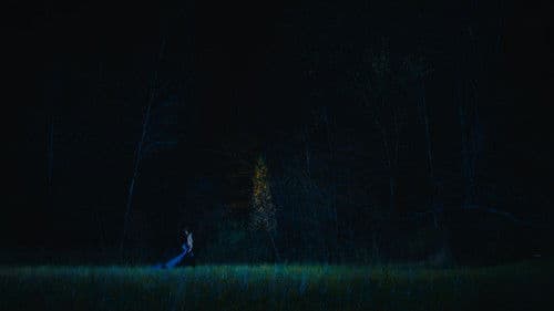 From the Earth Bild 2