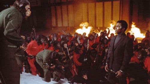 Eroberung vom Planet der Affen Bild 4