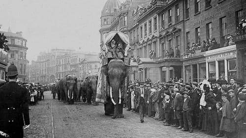 Fritz, der Elefant – Eine tragische Geschichte Bild 6