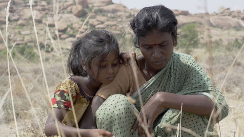 கூழாங்கல் Bild 3