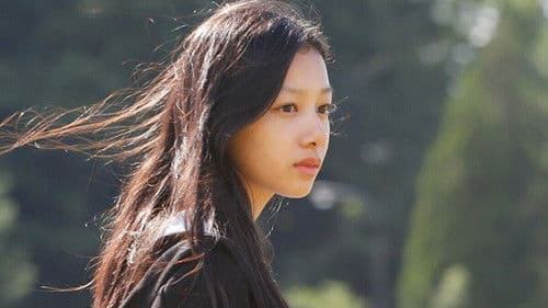 光を追いかけて Bild 2