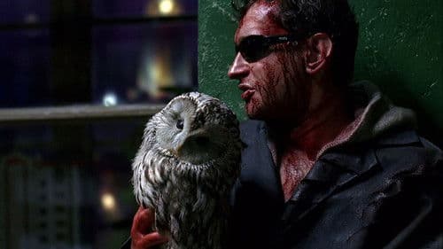 Wächter der Nacht Bild 5