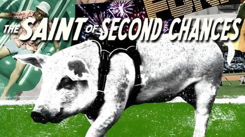 Die Veecks: Eine Familiengeschichte der zweiten Chancen Bild 4