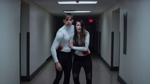 Das Honeymoon Experiment Bild 3