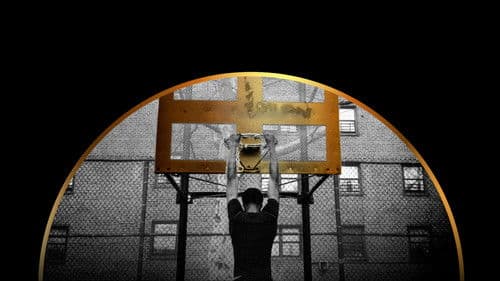 NYC Point Gods Bild 1