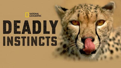 Deadly Instincts Bild 2