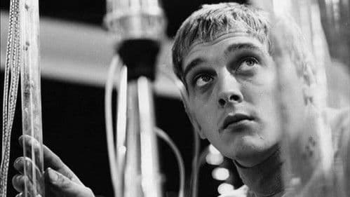 The Counterfeit Man Bild 1