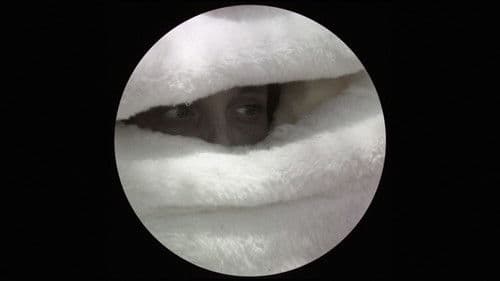 Wind Through a Tree Bild 3