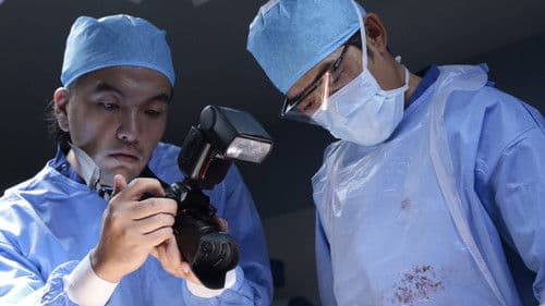 グレイトギフト Bild 2