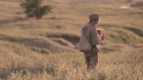 Последствия войны Bild 1