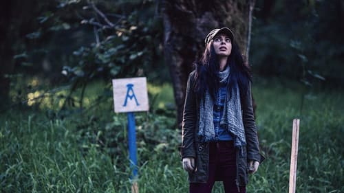 The Shasta Triangle Bild 1