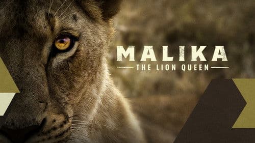 Malika the Lion Queen Bild 4