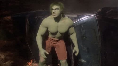 L'Incroyable Hulk : L'Homme Mystère Bild 2