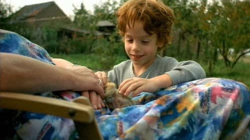 Des plumes dans la tête Bild 1