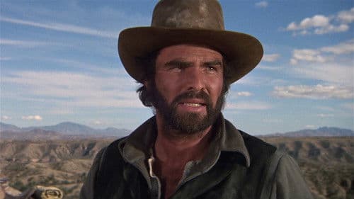 Der Mann, der die Katzen tanzen ließ Bild 4