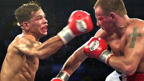 Legendary Nights: The Tale of Gatti-Ward Bild 2