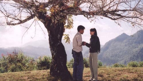 เดอะ เลตเตอร์ จดหมายรัก Bild 2