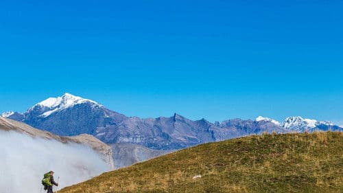 Vivre avec les loups Bild 6