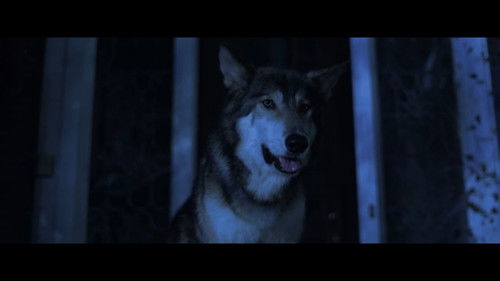 Lycan Bild 3