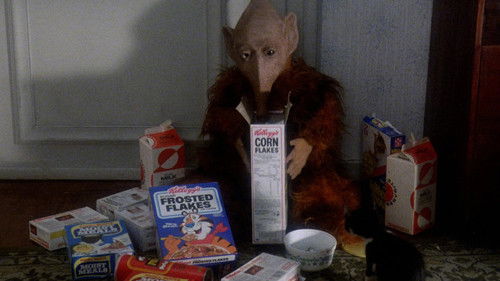 Die außerirdischen Besucher Bild 3