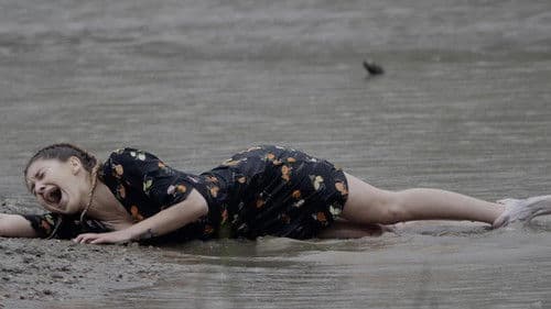 Kísértés az erdő mélyén - "A Megtört Fény" Bild 2