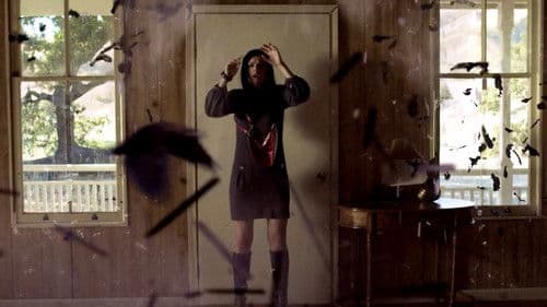 The Birds of Anger Bild 4