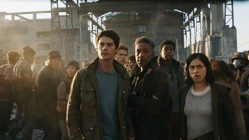 Maze Runner - Die Auserwählten in der Todeszone Bild 1